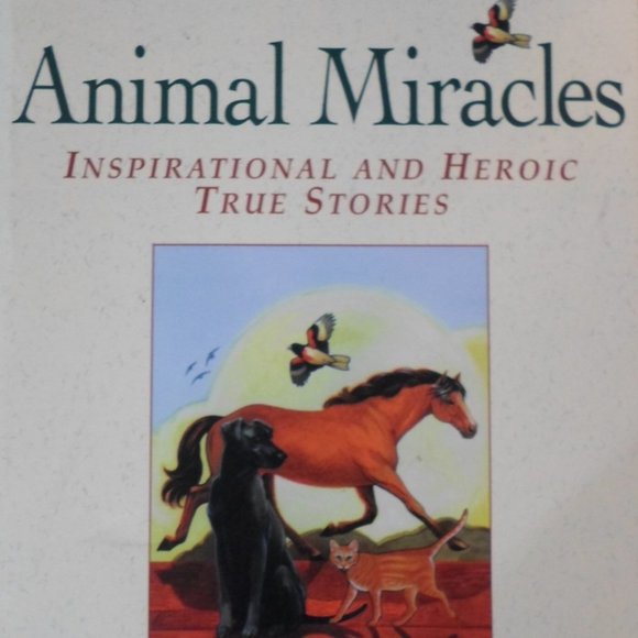 Miracles Books - Picture 3 of 8